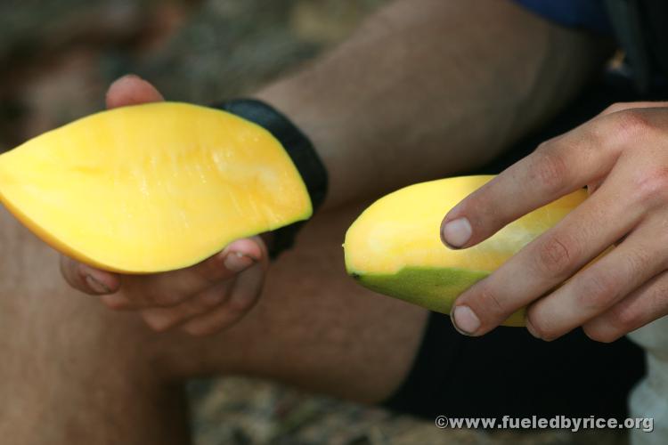 Nepal, west lowlands - Mango break!