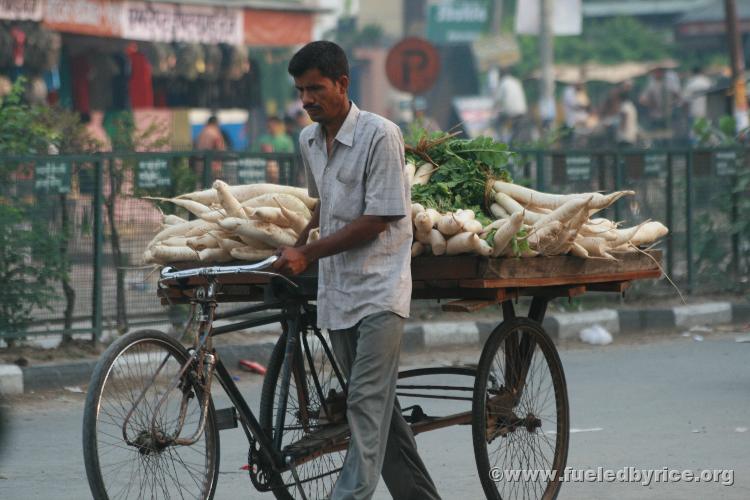 Nepal, Mahendranagar border town with India - Tricycle Turnip salesman