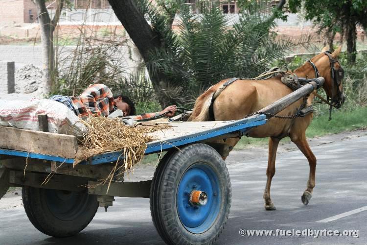 Indıa East of Delhı - 
