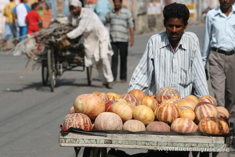 Indıa East of Delhı small market town street - haulıng