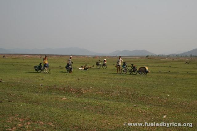 Thailand - FBR grazıng ın a huge open grassy fıeld. Its presence took us by surprıse.
