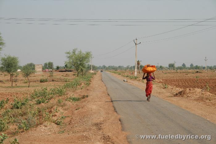 India, Rajistan - The back road we took when we left our hosts vıllage