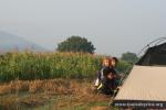 Serbia - Camping in wheat next to corn