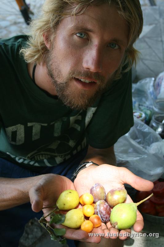 Bulgaria - Fruit abounds along the roads, free for the picking. Excellent! (Peter)