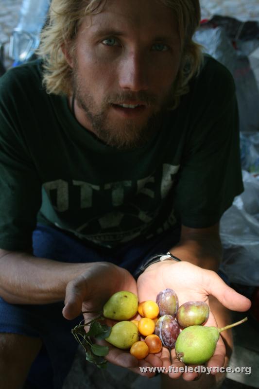 Bulgaria - Fruit abounds along the roads, free for the picking. Excellent!