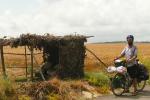 In Turkey, the field workers take a rest in this grass hut. There are blankets and some food, a table and sometimes chairs in th