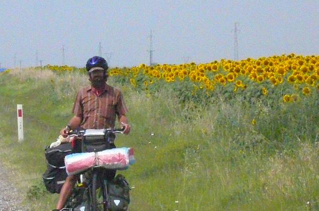 The fields of sunflowers are incredible - so is this boy!