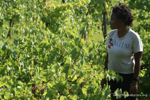 Serbia - Nakia dreaming of her own future vineyard to produce wine