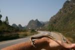 Vietnam - My friendly snake friend, Niu Niu