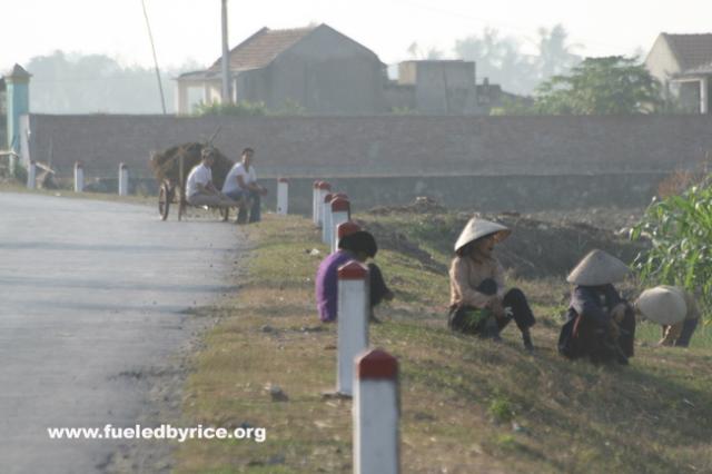 Vietnam - Farmers resting on the road side