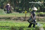 Vietnam, Ning Bihn Town - 