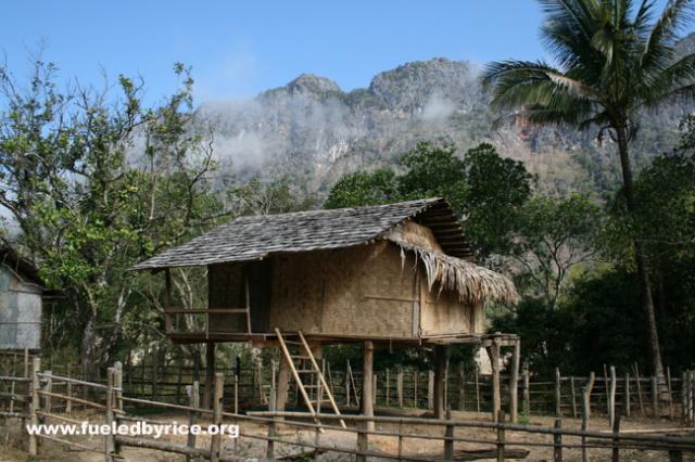 Lao - typical wood house on stilts.