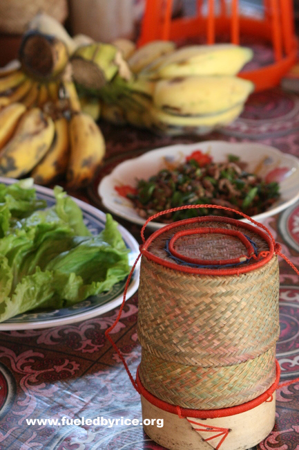 Lao - a typical Laotian lunch for us: Sticky rice (in the basket), sweet bananas, noodle soup, and spicy vegetables (Peter)