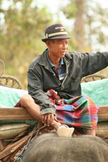 Lao - Kiep Ngong village, an elephant tour guide wearing a Minnesota Vikings hat