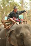 Lao - Kiep Ngong village, an elephant tour guide wearing a Minnesota Vikings hat