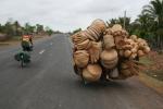 Cambodia - One heck of a load of baskets on a small motorbike!