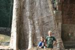 Cambodia - Angkor Wat, Ta Prohm - Big jungle trees!