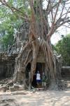 Cambodia - Angkor Wat, Preah Kham - Tree!
