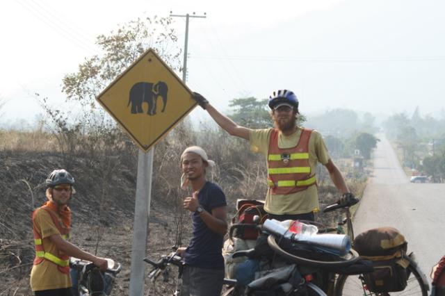 Thailand - Elephant (not deer) crossing!