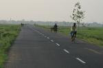 India, West Bengal - Mostly other bicycle and tricylce traffic on this county road - AWESOME.