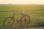 India, West Bengal - A farmer's strong old-style India-Chinese bike, left while he works in his rice field.