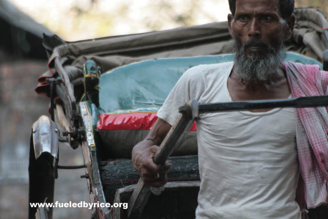 India, West Bengal, Kolcatta - One of the many "drivers" of the last real working ricksaws in the world.  These ricksa