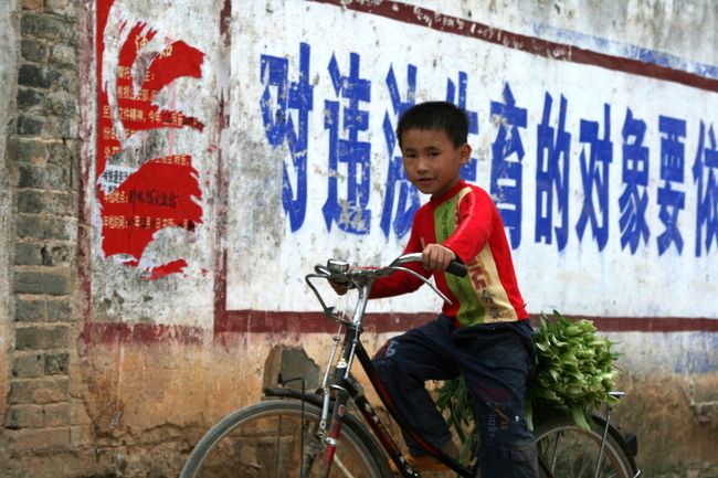 China, Guangxi prov - A young boy bicycles home vegetables from the market (Peter) 