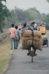 India, West Bengal - Heading north away from Katna village on nice, smaller back county roads. Busy, but few trucks.