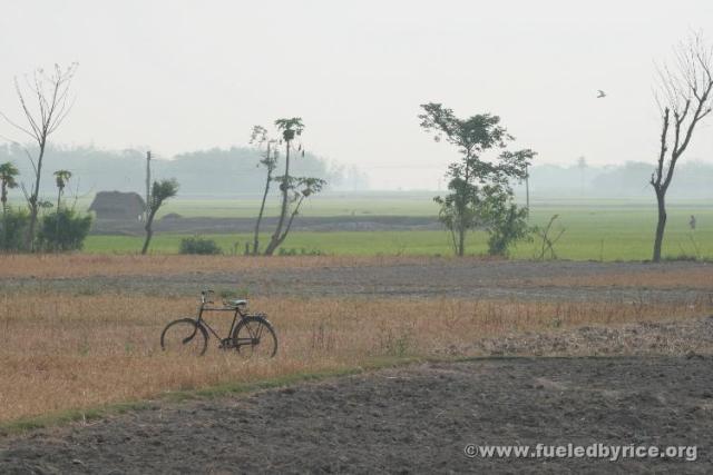 India, West Bengal - Bicycle in field