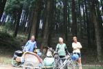 India, Darjeeling - FBR in a pineforest in the Himalayan foothills, a nice change with fresh air!