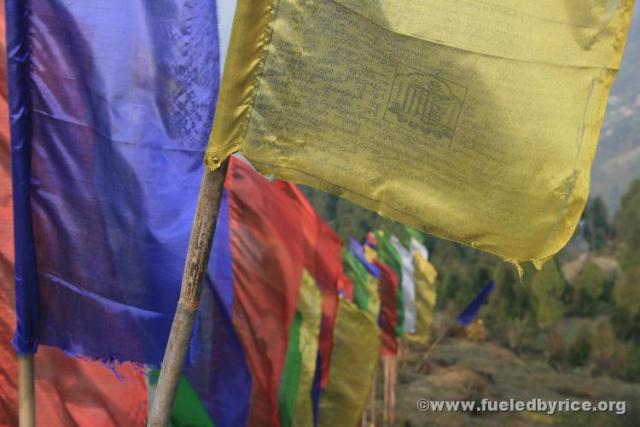 India, Darjeeling town - Tibetan Buddhist prayer flags 