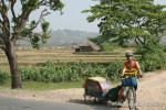 Nepal, east lowlands with the Himalayan foothills creeping in the background (Peter)