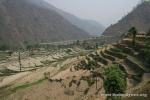 Nepal, Himalayan foothills, Sindhuli area backroad to Kathmandu - Plenty of terracing back here, the only way to grow food in th