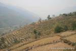 Nepal, Himalayan foothills, Sindhuli area - Amazing terracing in this river valley, the Indrawati River
