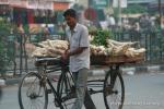 Nepal, Mahendranagar border town with India - Tricycle Turnip salesman