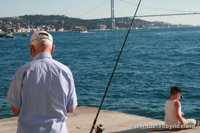 Türkiye, İstanbul - The Bosphorus Straight - goin fishin