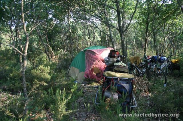 Türkiye - camping in a cramped woods near the road...not our best site