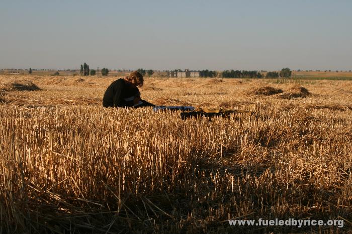 Türkiye - Drew journaling in a wheat field we camped in - morning