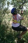 Hungary - Jim trying to climb an apple tree.